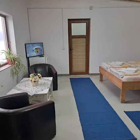 Guest house Pensiunea Belvedere Yachtclub Berzasca